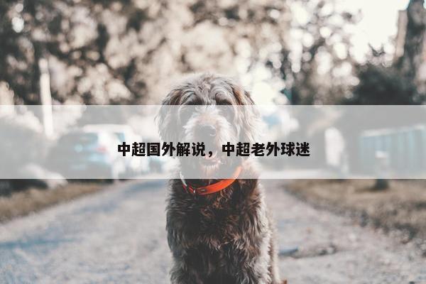 中超国外解说，中超老外球迷