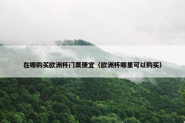 在哪购买欧洲杯门票便宜（欧洲杯哪里可以购买）