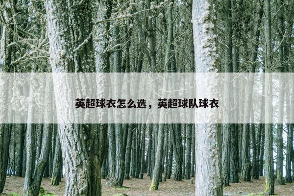 英超球衣怎么选，英超球队球衣