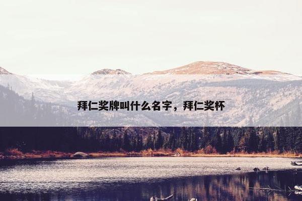 拜仁奖牌叫什么名字，拜仁奖杯