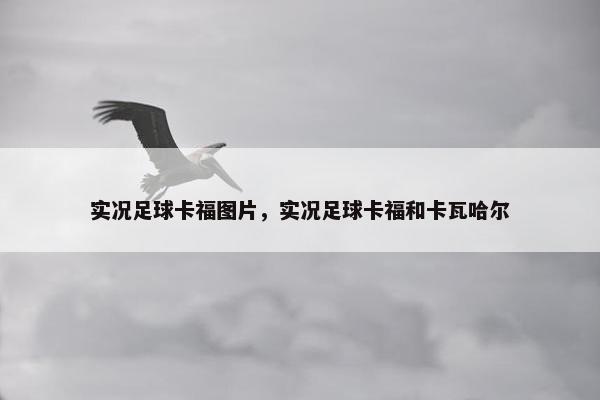 实况足球卡福图片，实况足球卡福和卡瓦哈尔