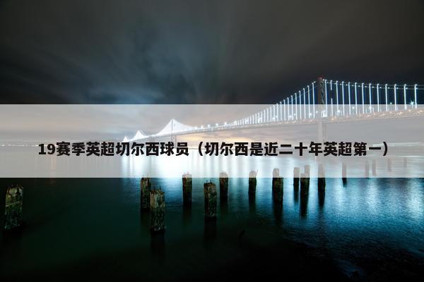 19赛季英超切尔西球员（切尔西是近二十年英超第一）