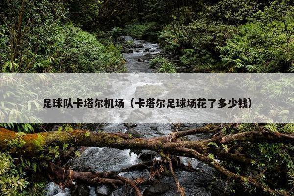 足球队卡塔尔机场（卡塔尔足球场花了多少钱）