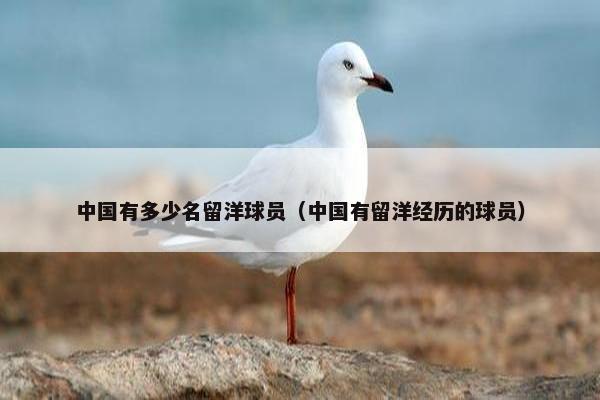 中国有多少名留洋球员（中国有留洋经历的球员）