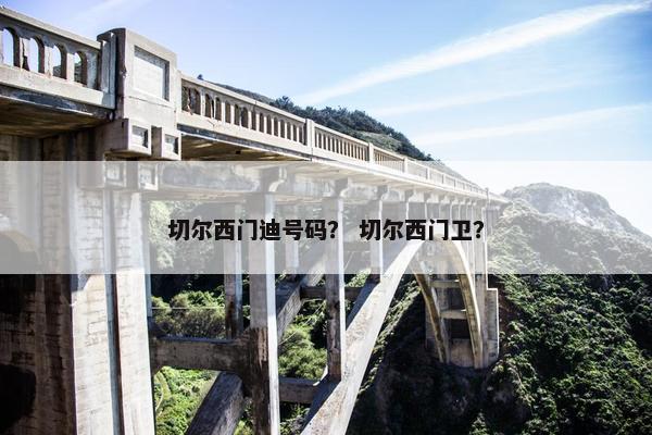 切尔西门迪号码？ 切尔西门卫？