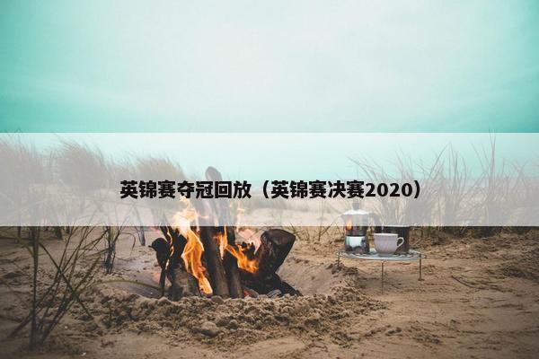 英锦赛夺冠回放（英锦赛决赛2020）