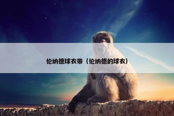 伦纳德球衣带（伦纳德的球衣）