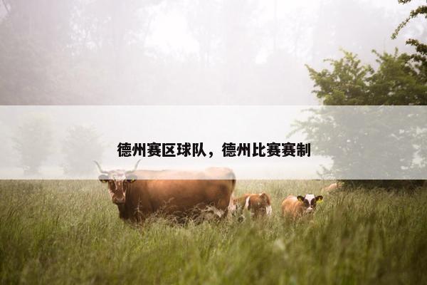 德州赛区球队，德州比赛赛制