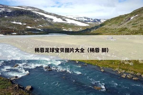 杨蓉足球宝贝图片大全（杨蓉 脚）