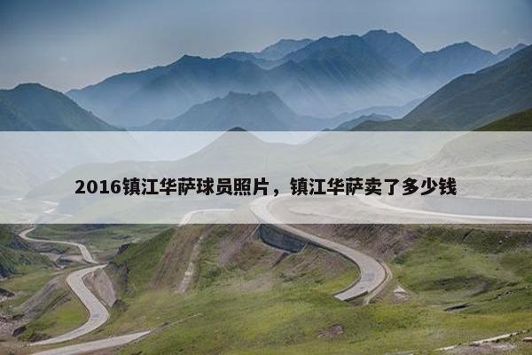 2016镇江华萨球员照片，镇江华萨卖了多少钱