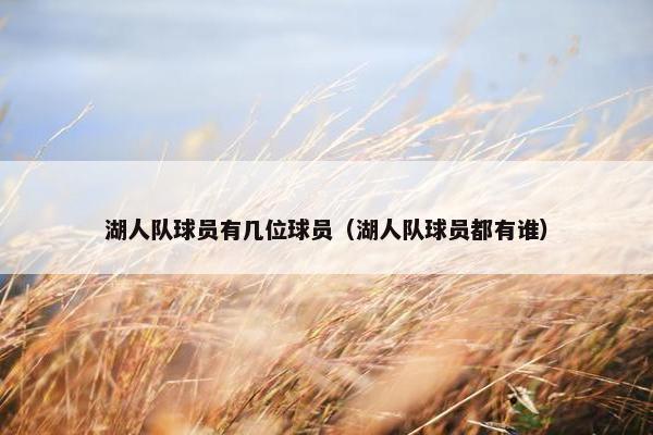 湖人队球员有几位球员（湖人队球员都有谁）