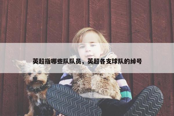英超指哪些队队员，英超各支球队的绰号