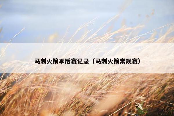 马刺火箭季后赛记录（马刺火箭常规赛）
