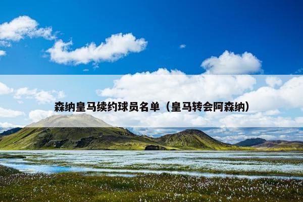 森纳皇马续约球员名单（皇马转会阿森纳）