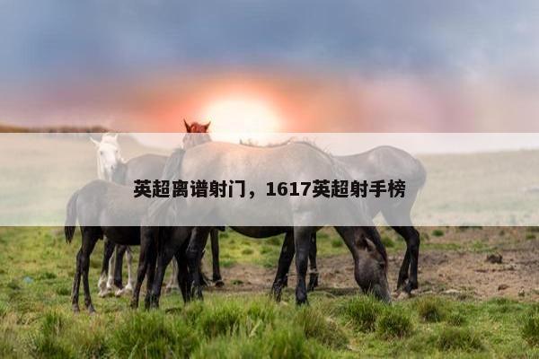 英超离谱射门，1617英超射手榜