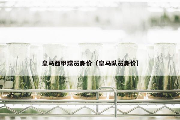 皇马西甲球员身价（皇马队员身价）