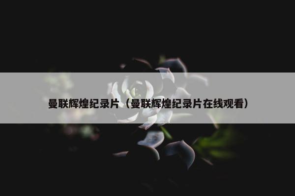 曼联辉煌纪录片（曼联辉煌纪录片在线观看）