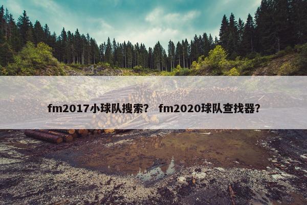 fm2017小球队搜索？ fm2020球队查找器？