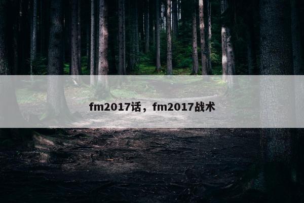 fm2017话，fm2017战术