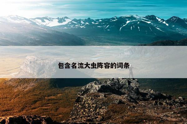 包含名流大虫阵容的词条