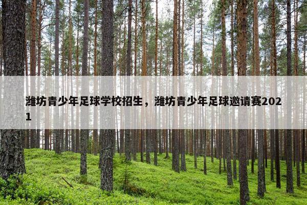 潍坊青少年足球学校招生，潍坊青少年足球邀请赛2021