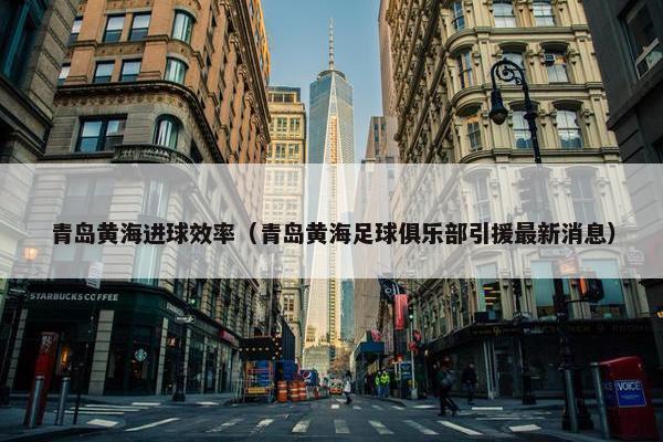 青岛黄海进球效率（青岛黄海足球俱乐部引援最新消息）