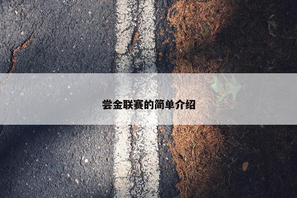 尝金联赛的简单介绍