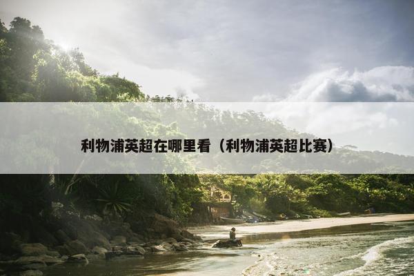 利物浦英超在哪里看（利物浦英超比赛）