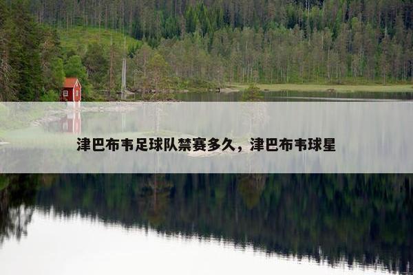 津巴布韦足球队禁赛多久，津巴布韦球星