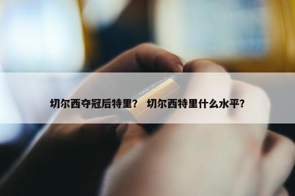 切尔西夺冠后特里？ 切尔西特里什么水平？