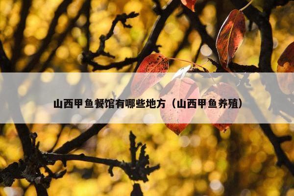 山西甲鱼餐馆有哪些地方（山西甲鱼养殖）