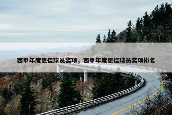 西甲年度更佳球员奖项，西甲年度更佳球员奖项排名