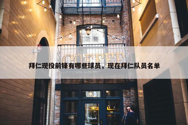 拜仁现役前锋有哪些球员，现在拜仁队员名单