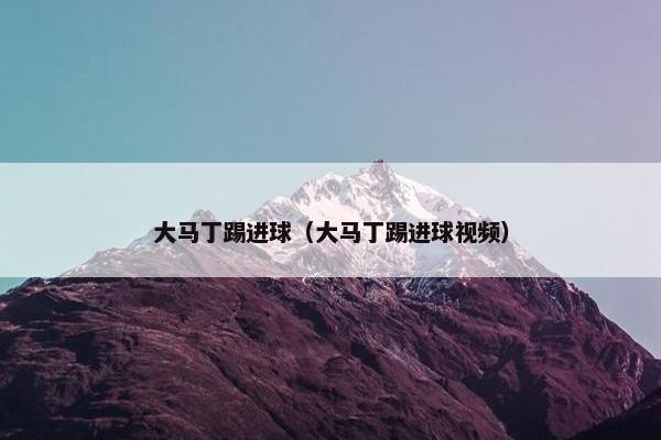 大马丁踢进球（大马丁踢进球视频）