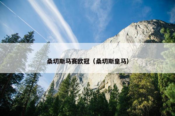 桑切斯马赛欧冠（桑切斯皇马）