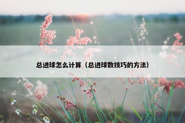 总进球怎么计算（总进球数技巧的方法）