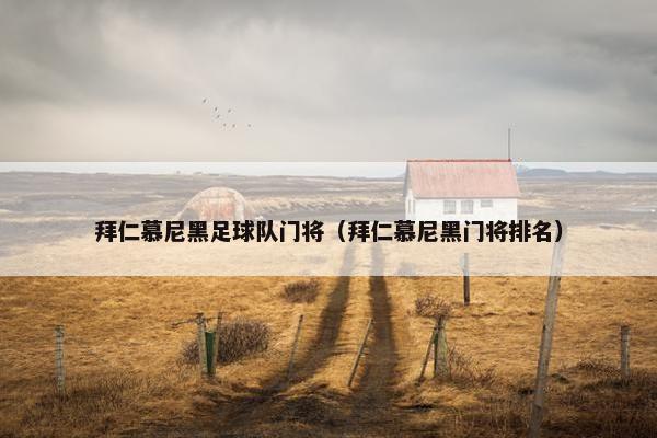 拜仁慕尼黑足球队门将（拜仁慕尼黑门将排名）