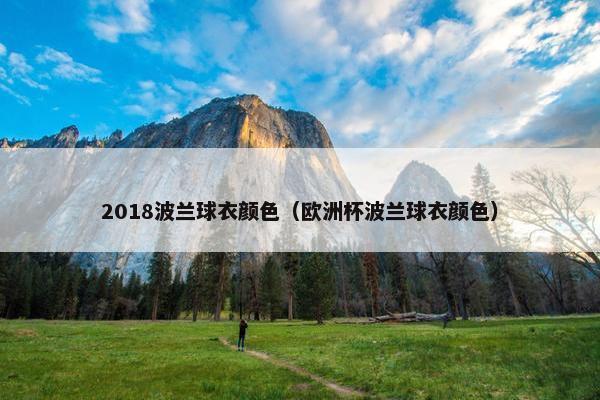2018波兰球衣颜色（欧洲杯波兰球衣颜色）