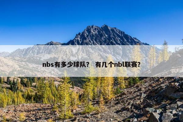 nbs有多少球队？ 有几个nbl联赛？