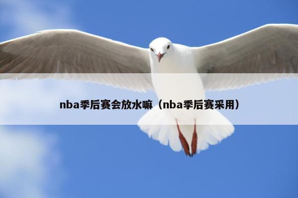 nba季后赛会放水嘛（nba季后赛采用）