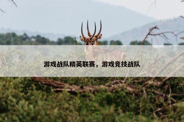 游戏战队精英联赛，游戏竞技战队