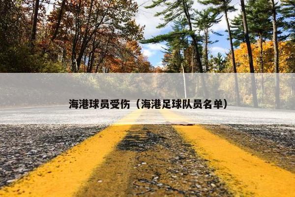 海港球员受伤（海港足球队员名单）