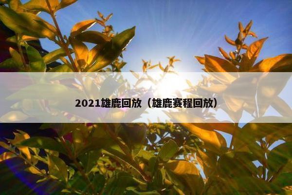 2021雄鹿回放（雄鹿赛程回放）