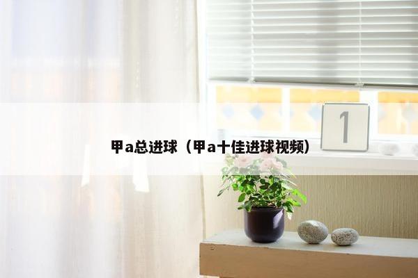 甲a总进球（甲a十佳进球视频）