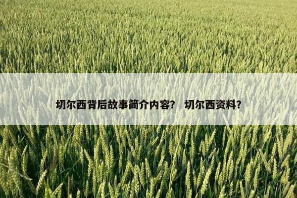 切尔西背后故事简介内容？ 切尔西资料？
