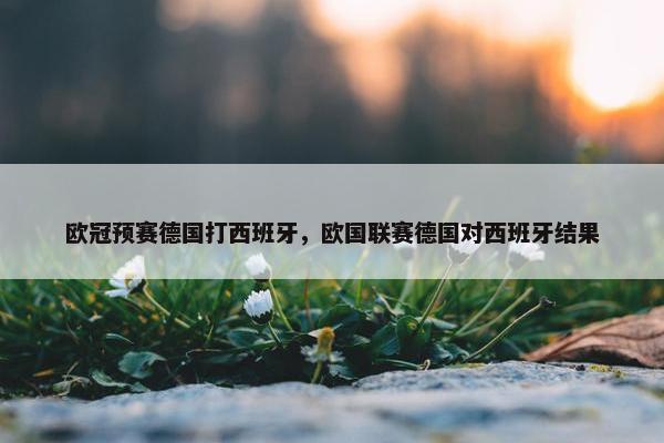 欧冠预赛德国打西班牙，欧国联赛德国对西班牙结果