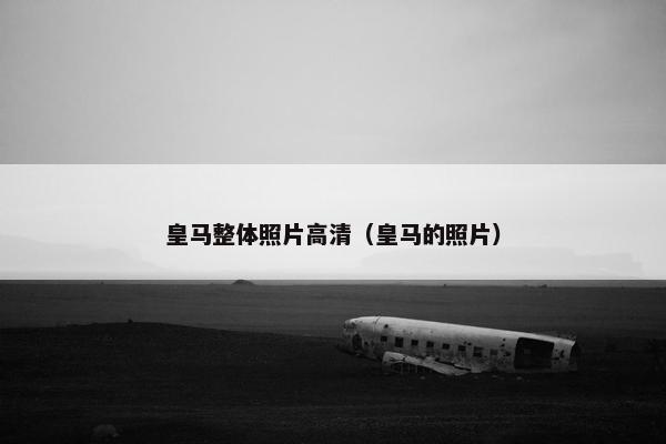 皇马整体照片高清（皇马的照片）