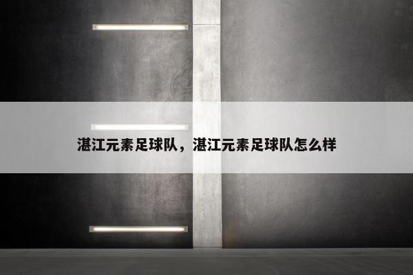 湛江元素足球队，湛江元素足球队怎么样