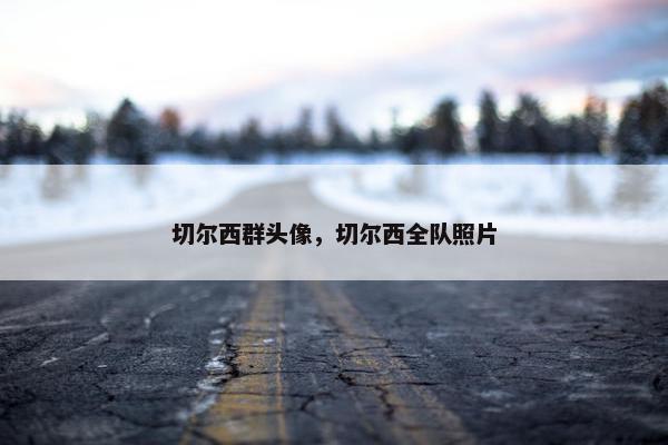 切尔西群头像，切尔西全队照片