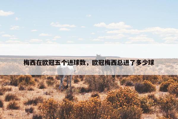 梅西在欧冠五个进球数，欧冠梅西总进了多少球